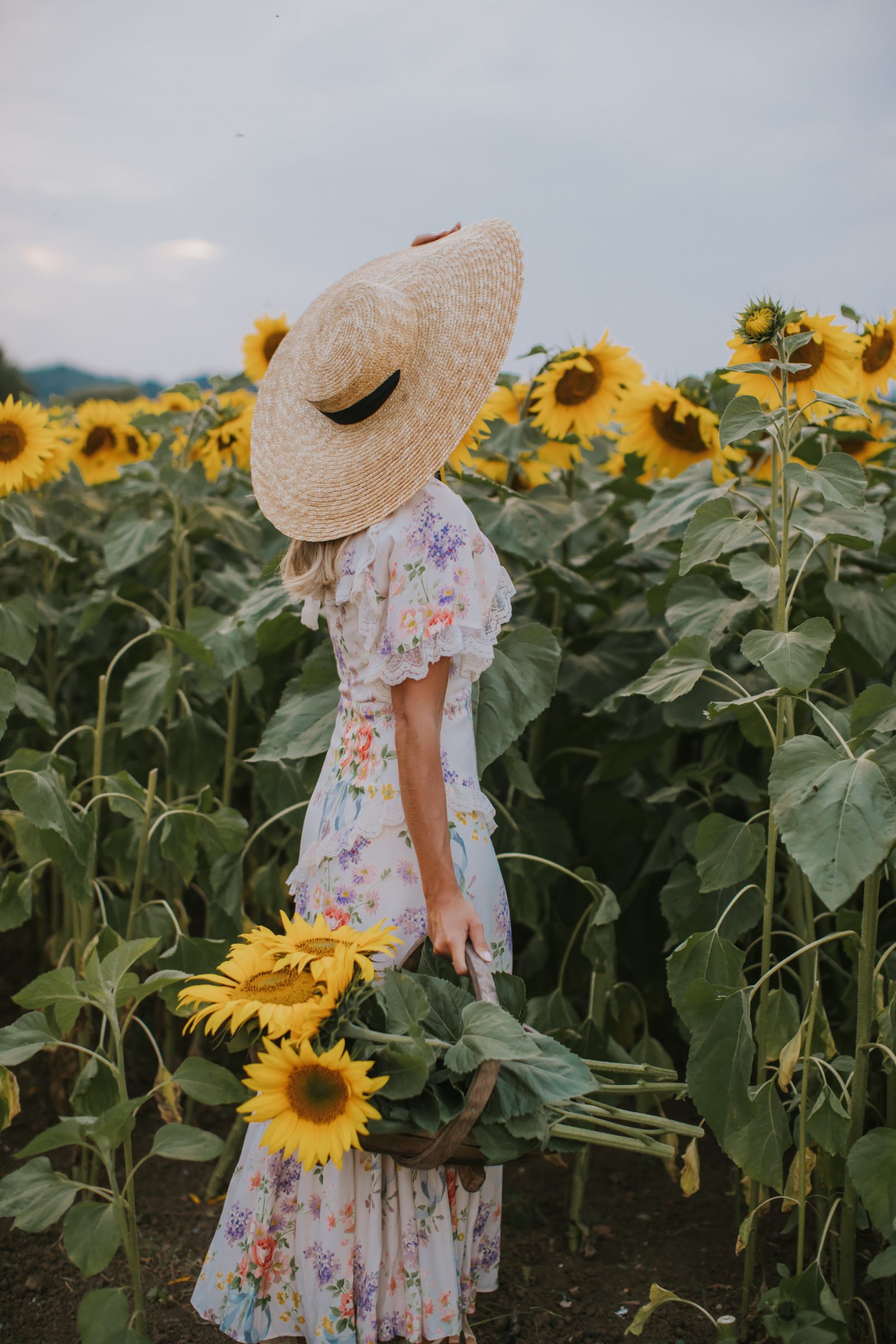 Where to see (and pick!) Sunflowers in the Cotswolds Fashion Mumblr