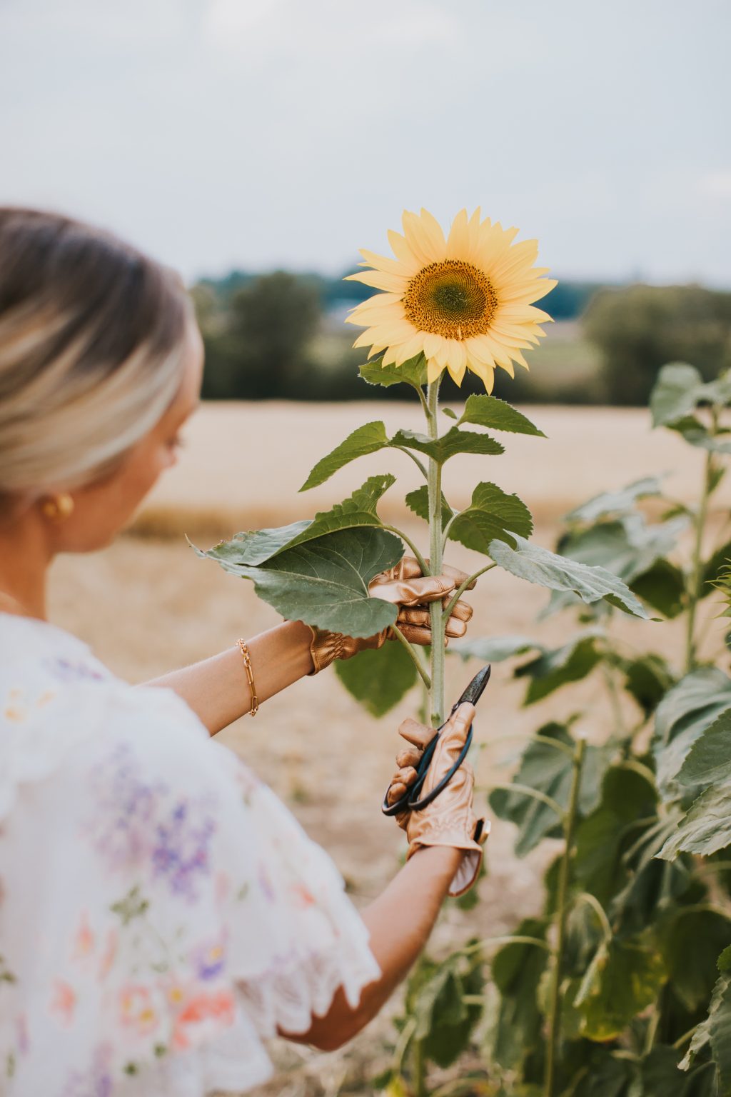 Where to see (and pick!) Sunflowers in the Cotswolds Fashion Mumblr