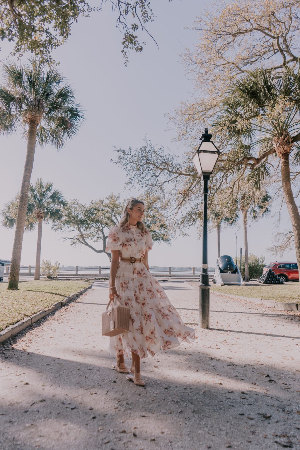 Charleston Walks Dress